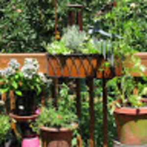 Meet your Posher, Anneka